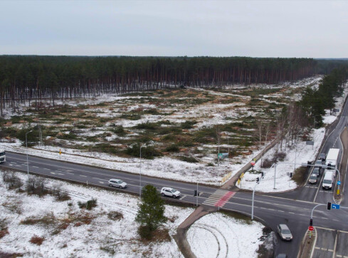 Rozpoczęła się wycinka drzew pod budowę drogi S10 - grafika