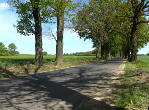 Słodko-gorzki remont drogi - grafika