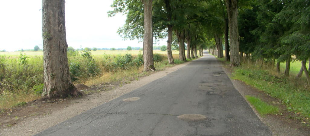 Droga kością niezgody 