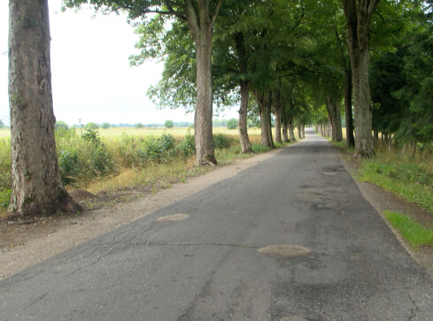 Droga kością niezgody  - grafika