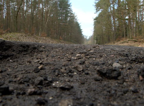 Trasa przez mękę - grafika