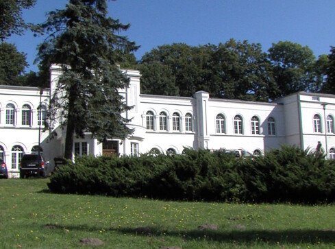 Festiwal folklorystyczny w Radawnicy  - grafika
