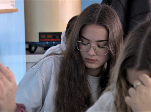 Najlepsze w Polsce - certyfikat dla "Hipolita" - grafika