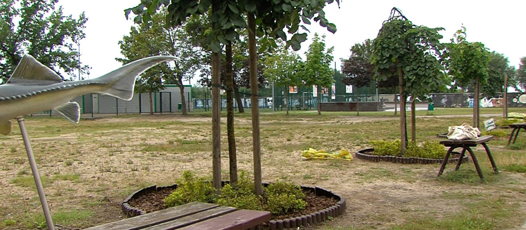 Bieżnia i skaterpark przy szkole podstawowej