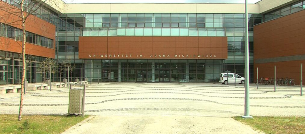 Studia po godz. 16.00, a dodatkowo opieka nad dziećmi i obiad?