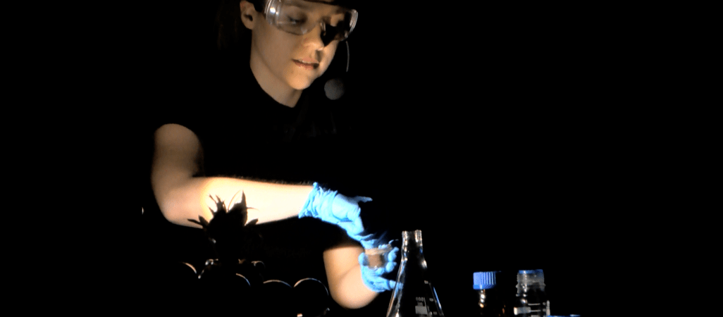 Festiwal Nauki w Pile 