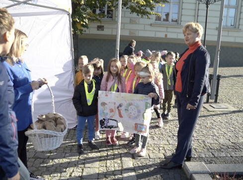 Ekopiknik w Wałczu - grafika