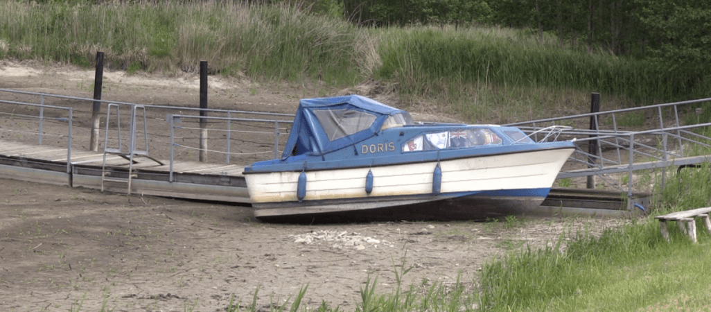 Starorzecze Noteci wyschło – katastrofa ekologiczna