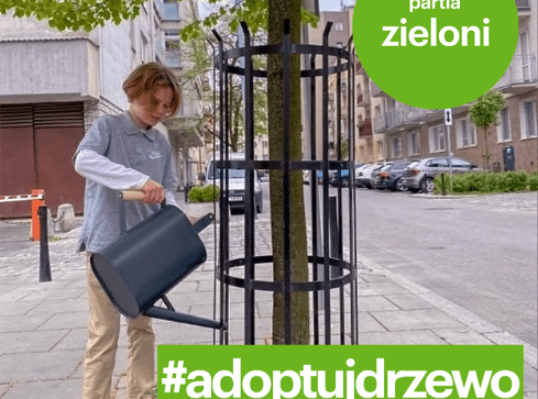 Adoptuj Drzewo - zachęcają pilscy Zieloni  - grafika