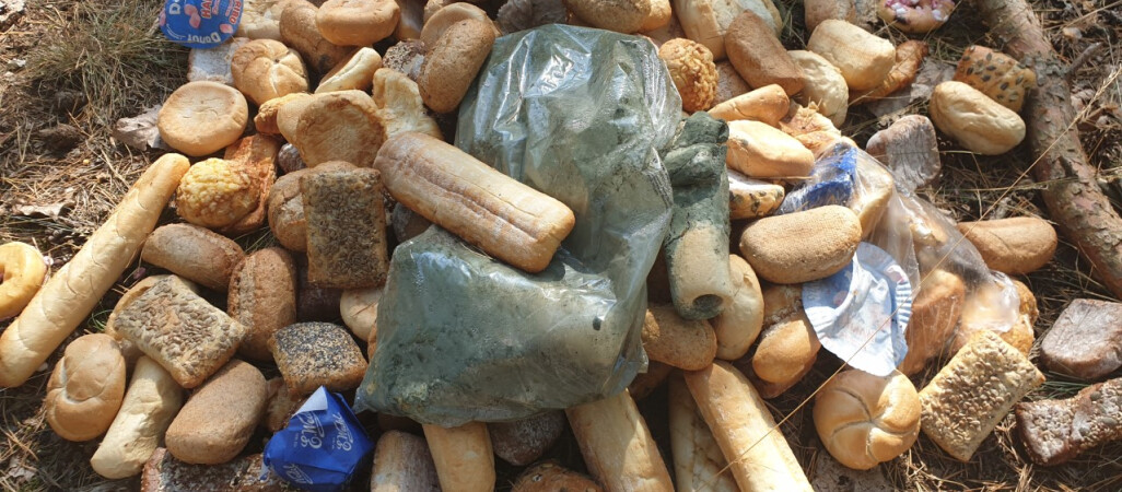 Sterta pieczywa w lesie. Bank Żywności reaguje