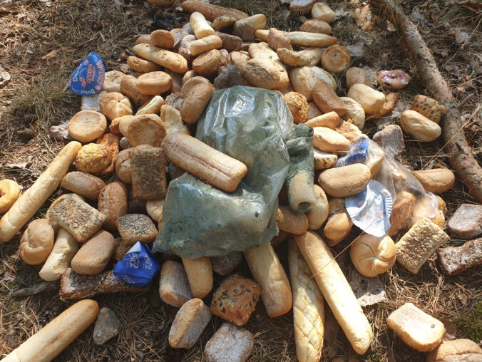 Sterta pieczywa w lesie. Bank Żywności reaguje  - grafika