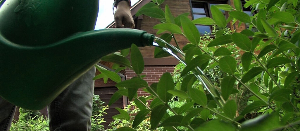 Podatek od deszczu w górę. Już od następnego roku