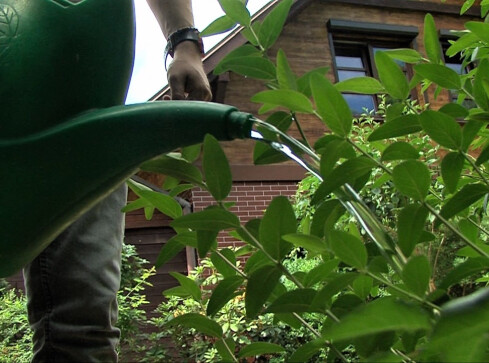 Podatek od deszczu w górę. Już od następnego roku  - grafika