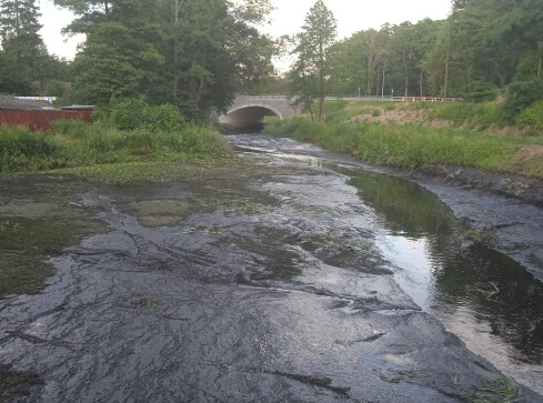 Głomia już nie przypomina rzeki. Ekolodzy mówią o katastrofie  - grafika