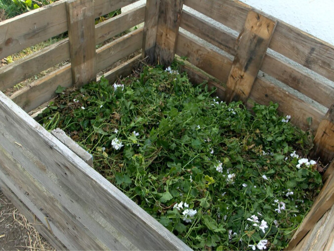 Kompostownik przy Banku Żywności. Dlaczego powstał?  - grafika