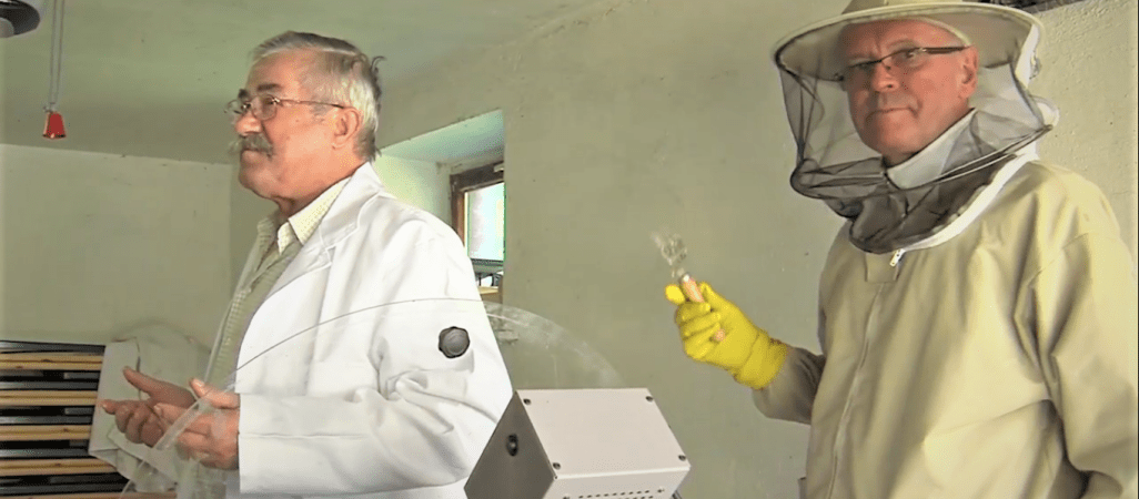 Parafialny miód prosto z przykościelnej pasieki 