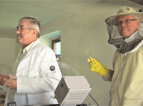 Parafialny miód prosto z przykościelnej pasieki  - grafika