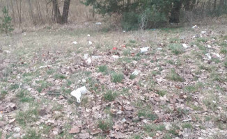 Nad Zalewem "kwitną" śmieci