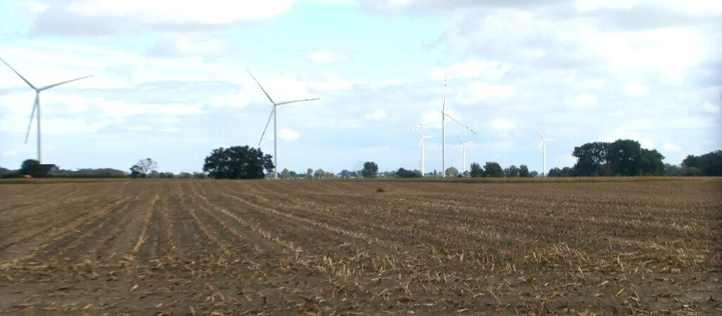 W Wysokiej powstała największa farma wiatrowa w regionie 