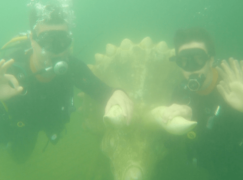 WOŚP: nurkowanie z prezydentem - grafika