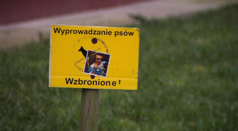 Zakaz wprowadzania psów jest nielegalny! - grafika