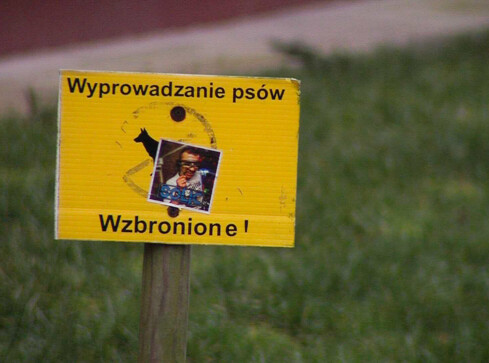 Zakaz wprowadzania psów jest nielegalny! - grafika