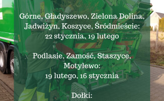 Co zrobić po świętach z żywą choinką? Podpowiadamy [harmonogram zbiórki choinek]