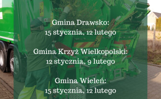 Co zrobić po świętach z żywą choinką? Podpowiadamy [harmonogram zbiórki choinek]