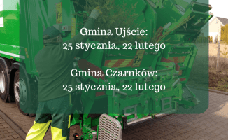 Co zrobić po świętach z żywą choinką? Podpowiadamy [harmonogram zbiórki choinek]