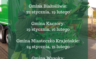 Co zrobić po świętach z żywą choinką? Podpowiadamy [harmonogram zbiórki choinek]