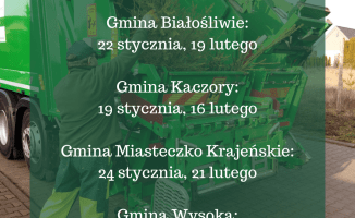 Co zrobić po świętach z żywą choinką? Podpowiadamy [harmonogram zbiórki choinek]