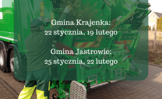 Co zrobić po świętach z żywą choinką? Podpowiadamy [harmonogram zbiórki choinek]