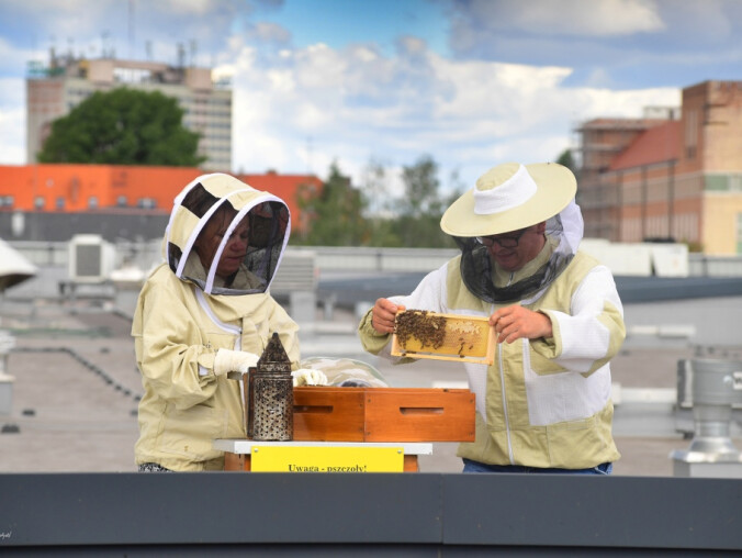 80 kg miodu z pasieki na dachu galerii VIVO! Piła  - grafika