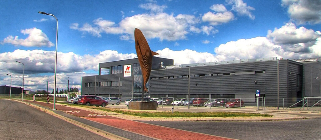 7,5 metrowa orka stanęła przed firmą Orca 