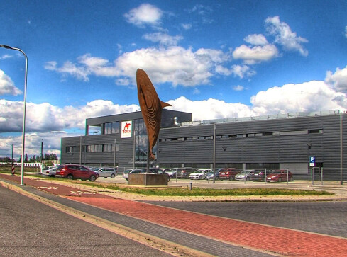 7,5 metrowa orka stanęła przed firmą Orca  - grafika