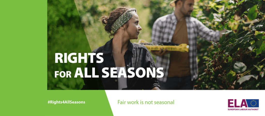 Prawa przez cały rok - kampania informacyjna PIP 