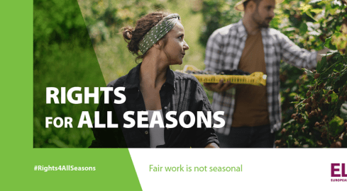 Prawa przez cały rok - kampania informacyjna PIP  - grafika