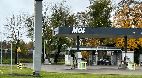 W Pile mamy MOL-a - grafika