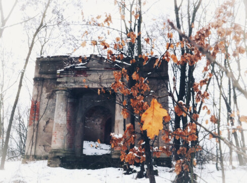 Zima odsłoniła XIX-wieczny grobowiec Żychlińskich  - grafika