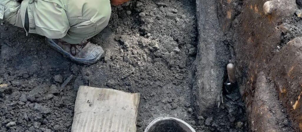 Srebrne szelągi i prahistoryczna ceramika w centrum Piły