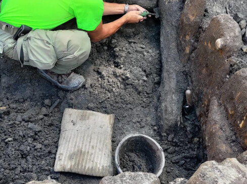 Srebrne szelągi i prahistoryczna ceramika w centrum Piły - grafika