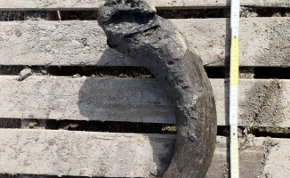 Latryna czy studnia? Archeolodzy już wiedzą 