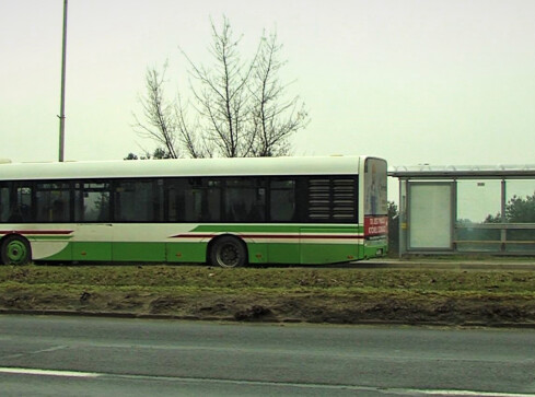 Autobusem komunikacji miejskiej z Piły do Szydłowa? - grafika