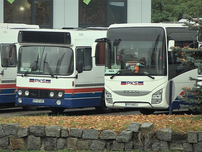 Powiat pilski jednak z dofinansowaniem przewozów - grafika