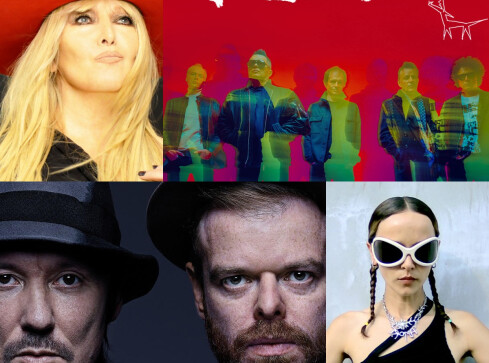 Gwiazdy na festiwalu w naszym regionie!  - grafika