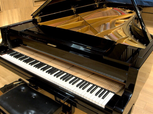 Koncerty Niepodległościowe w regionie  - grafika