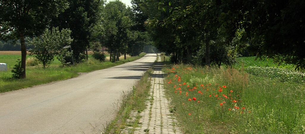  Droga do sanktuarium - drogą przez mękę