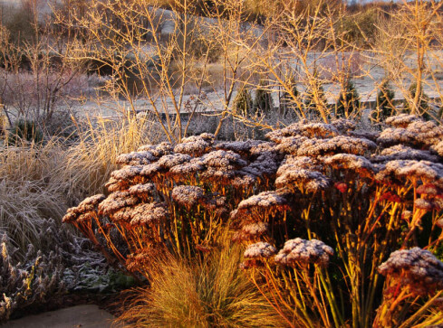 Spotkanie z Agnieszką Hubeny-Żukowską - projektantką ogrodów i ar - grafika