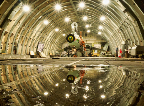 Pilski "Tygrysek" w obiektywie - grafika