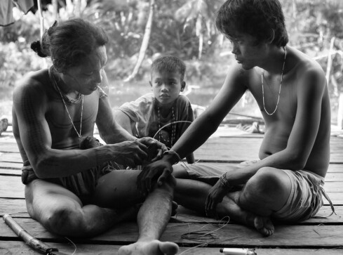 Tajemniczy Świat Sumatry w Muzeum Okręgowym w Pile  - grafika